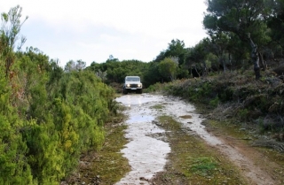  wild roads 